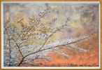 Framed Blossoms Giclee 48x72
