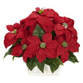 Poinsettia w/White Wash Planter
