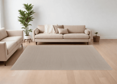 8' X 10' Ivory and Tan Hand Woven Area Rug