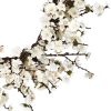 24" Plum Blossom Wreath
