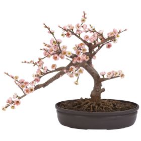15" Cherry Blossom Bonsai Tree