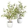 18" Olive Tree w/Vase  (Set of 2)