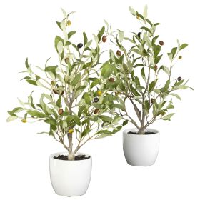 18" Olive Tree w/Vase  (Set of 2)