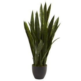 35" Sansevieria w/Black Planter