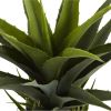 30" Agave w/Black Planter