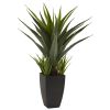 30" Agave w/Black Planter