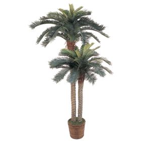 6' and 4' Double Potted Sago Palm Silk Tree