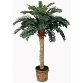 4' Sago Palm Tree w/28 Lvs
