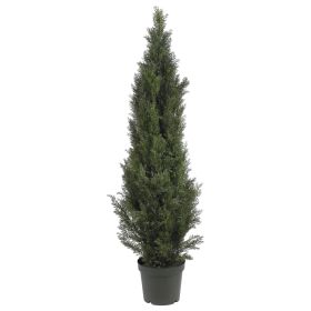 5' Mini Cedar Pine Tree w/1565 Lvs