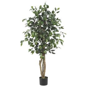 4' Ficus Tree w/504 Lvs