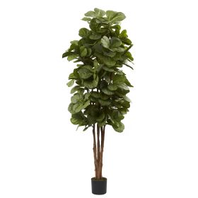 6' Fiddle Leaf Fig Tree x 6 w/270 Lvs