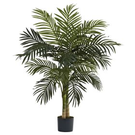 4' Golden Cane Palm Tree x 2 w/15 Lvs