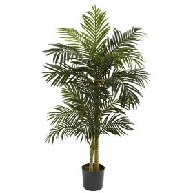 5' Golden Cane Palm Tree x 2 w/18 Lvs