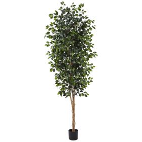 8' Ficus Tree x 3 w/1512 Lvs