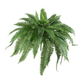 48" Boston Fern (Set of 2)