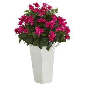 31" Bougainvillea Plant in White Tower Planter