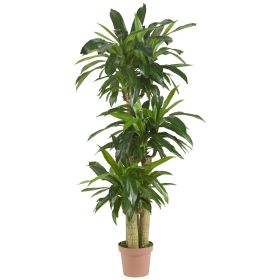 57" Corn Stalk Dracaena Artificial Plant (Real Touch)