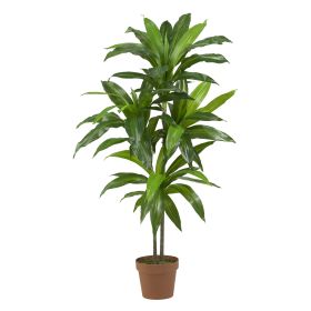 4' Dracaena (Real Touch)