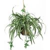 27 inch Spider Hanging Basket