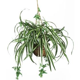 27 inch Spider Hanging Basket