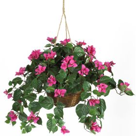 24" Bougainvillea Hanging Basket