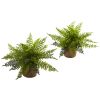 15" Ruffle Fern Bush w/Burlap Base (Set of 2)