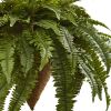 26" Giant Boston Fern with Cone Hanging Basket