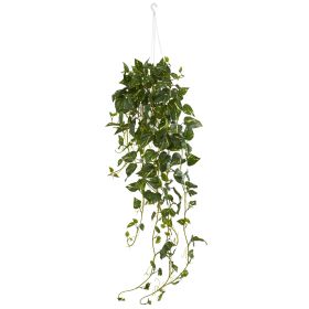 40" Pothos Bush Hanging Basket