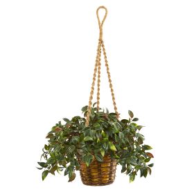 30" Mini Melon Plant in Hanging Basket UV Rest (Indr/Outdr)