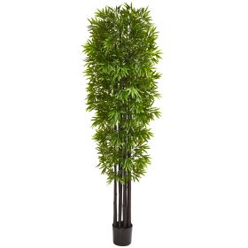 7' Bamboo Tree with Black Trunks UV Resist (Indoor/Outdoor)