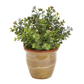 10" Eucalyptus and Sedum Artificial Plant in Ceramic Planter