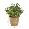 10" Eucalyptus and Sedum Artificial Plant in Ceramic Planter