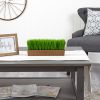12" Grass Artificial Plant in Decorative Planter