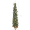 4' Green Pine Xmas Tree w/70 Clear Lights, 154 Tips & Burlap