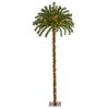 5' Xmas Palm l Tree with 150 Warm White LEDs & 59 Tips