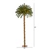 5' Xmas Palm l Tree with 150 Warm White LEDs & 59 Tips
