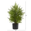 2' Norfolk Island Pine "Natural Look" Tree in Planter