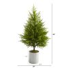 49" Norfolk Island Pine "Natural Look" Artificial Tree