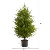 40" Norfolk Island Pine "Natural Look" Artificial Tree