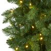 8' Slim Green Mountain Pine Christmas Tree w/400 Clear LEDs