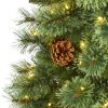5' White Mountain Pine Christmas Tree 200 LEDs & Pine Cones