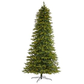 10' Belgium Fir Christmas Tree with 1050 Clear LED Lights