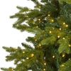 10' Belgium Fir Christmas Tree with 1050 Clear LED Lights