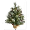 2' Frosted Pine Xmas Tree w/35 LEDs, Cones and Burlap