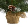 2' Frosted Pine Xmas Tree w/35 LEDs, Cones and Burlap
