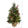 18" Pine Xmas Tree with Holly Berries,  Cones and 35 LEDs