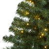 4' Northern Tip Christmas Tree w/150 LED Lights w/250 Tips