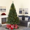 8' Northern Tip Christmas Tree w/450 LEDs and 1500 Tips