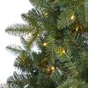 6' Grand Teton Flat Back Xmas Tree w/180 LEDs and 727 Tips