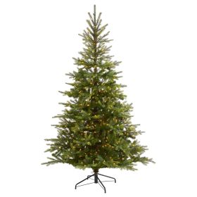 7' North Carolina Spruce Xmas Tree w/450 LEDs & 931 Tips